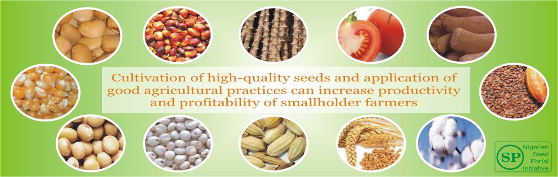 Nigerian Seed Portal Banner